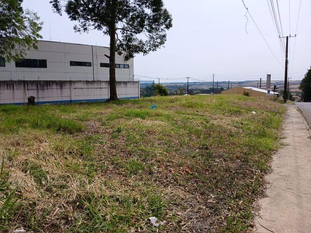 Terreno à venda - Jardim Carvalho,Ponta Grossa 