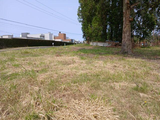 Terreno à venda, 934 m² por R$ 550.000,00 - Jardim Carvalho - Ponta Grossa/PR