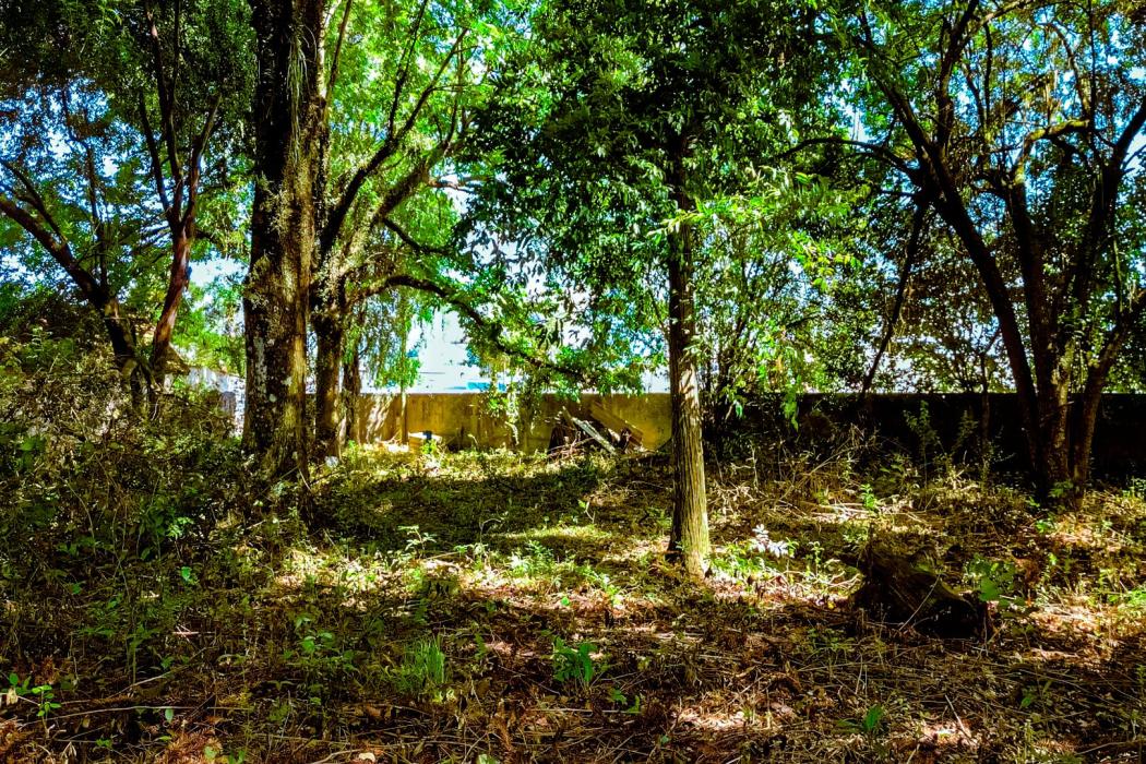 Terreno em Curitiba - PR, no bairro Pinheirinho - Referência TE0042-LACJ