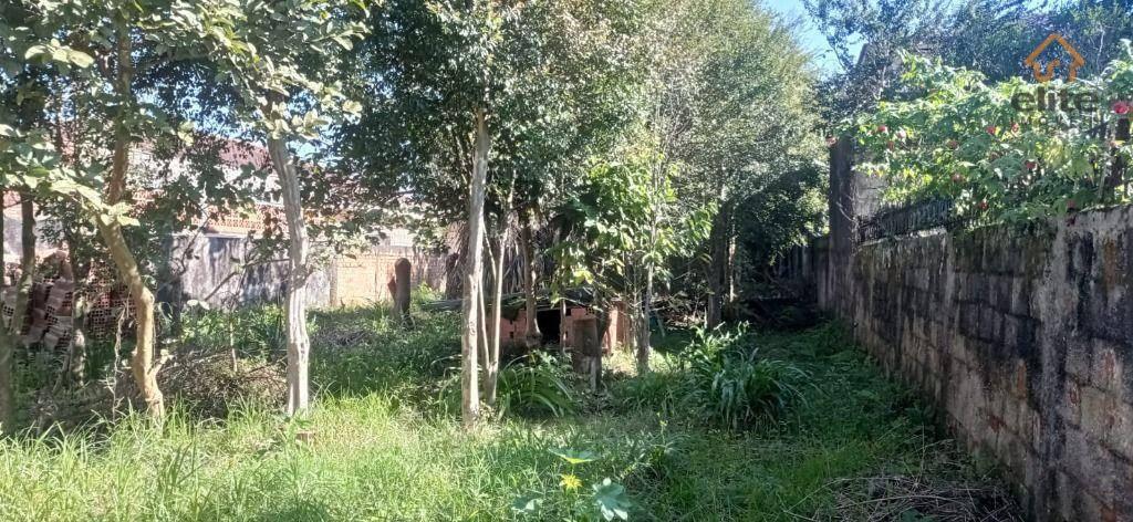 Terreno em Curitiba - PR, no bairro Cajuru - Referência TE0082-ELX