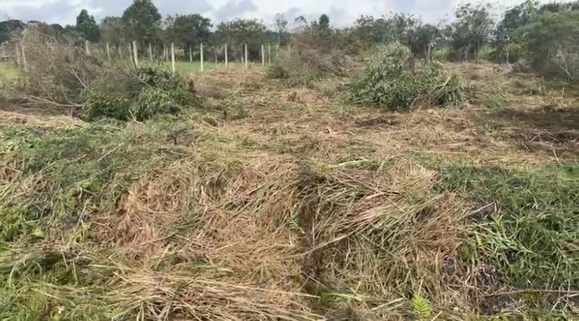 Terreno Exclusivo à Venda – São José dos Pinhais - voa corretor