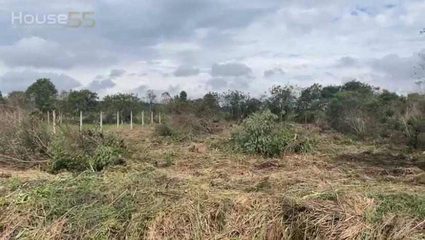 Terreno Exclusivo à Venda – São José dos Pinhais