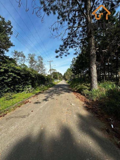 Terreno em Pinhais - PR, no bairro Parque Das Nascentes - Referência TE0103-ELX