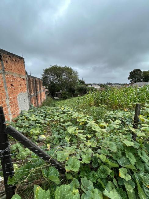  - TERRENO à venda por R$ 250.000,00 no bairro Roseira de São Sebastião - SÃO JOSÉ DOS PINHAIS / PR