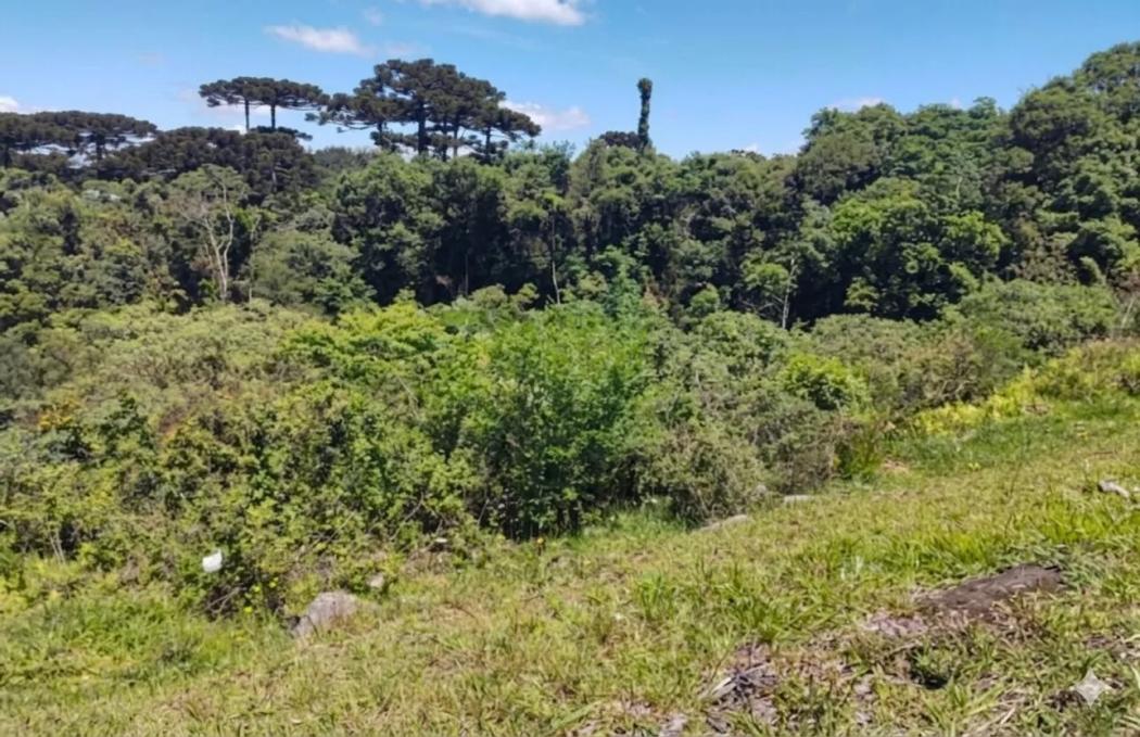  - Terreno para venda,  Barro Preto, São José Dos Pinhais